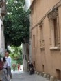 /album/photos-dibiza/p9252043-jpg/