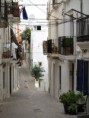 /album/photos-dibiza/p9252052-jpg/