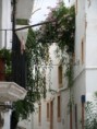 /album/photos-dibiza/p9252054-jpg/