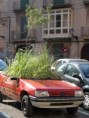 /album/photos-de-palma/p9201773-jpg1/