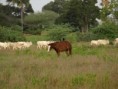 /album/photos-marlodge-le-paradis-sur-terre/pb153895-jpg/