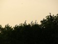 /album/photos-marlodge-le-paradis-sur-terre/pb174070-jpg/