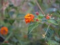 /album/photos-san-antao/pc064668-jpg/