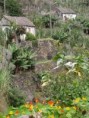 /album/photos-san-antao/pc064760-jpg/