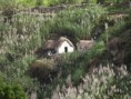 /album/photos-san-antao/pc064768-jpg/