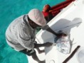 /album/photos-les-grenadines/p1020342-jpg/
