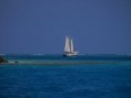 /album/photos-les-grenadines/p1065474-jpg/