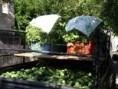 /album/photo%20des%20jardins%20de%20galata%20%c3%a0%20saint%20pierre/p2226890-jpg/