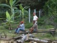 /album/photos-carriacou/p2026270-jpg/