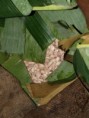 /album/photos%20%3a%20visite%20de%20l%e2%80%99%c3%aele%20de%20grenade/p1245970-jpg/