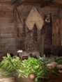 /album/photos%20%3a%20visite%20de%20l%e2%80%99%c3%aele%20de%20grenade/p1245982-jpg/