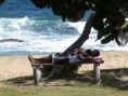 /album/photos%20%3a%20visite%20de%20l%e2%80%99%c3%aele%20de%20grenade/p1246036-jpg/