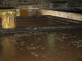 /album/photos%20%3a%20visite%20de%20l%e2%80%99%c3%aele%20de%20grenade/p1246073-jpg/
